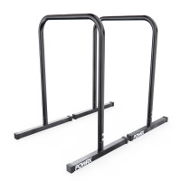 Брусья / хайлетсы DFC